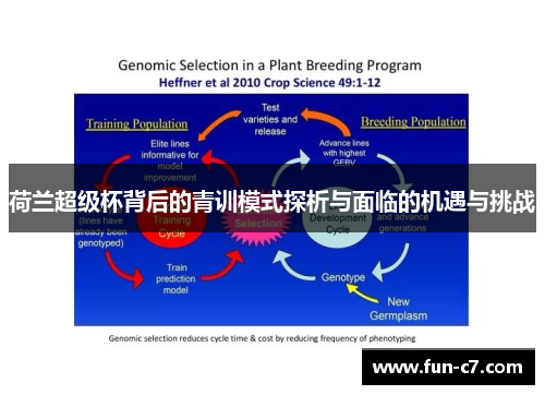 荷兰超级杯背后的青训模式探析与面临的机遇与挑战