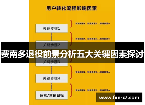 费南多退役前景分析五大关键因素探讨