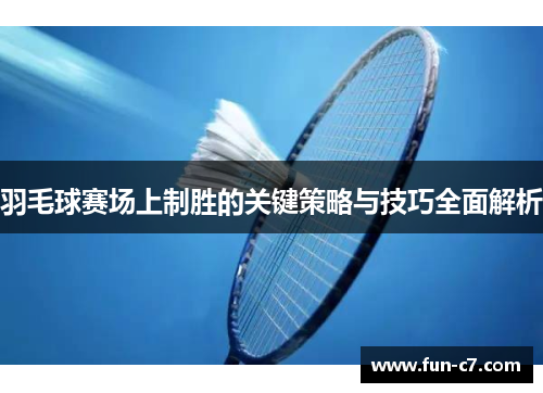 羽毛球赛场上制胜的关键策略与技巧全面解析