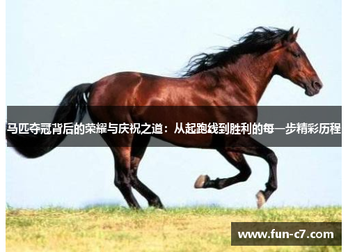 马匹夺冠背后的荣耀与庆祝之道：从起跑线到胜利的每一步精彩历程