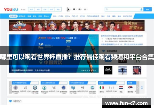 哪里可以观看世界杯直播？推荐最佳观看频道和平台合集
