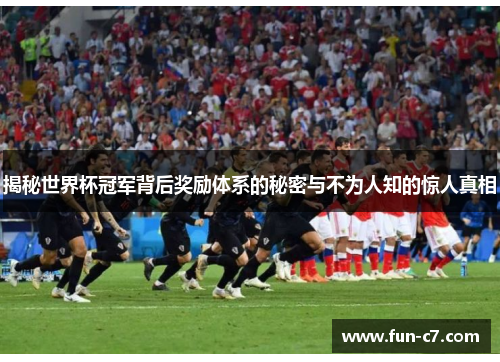 揭秘世界杯冠军背后奖励体系的秘密与不为人知的惊人真相