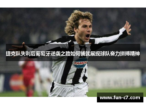捷克队失利后葡萄牙逆袭之路如何铺就展现球队奋力拼搏精神